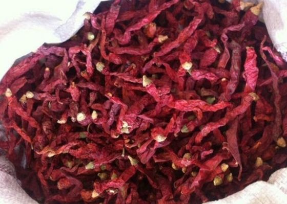 Würzegetrocknete rote Paprika-Pfeffer für alle der Gewürz-Importeur 4-7 cm