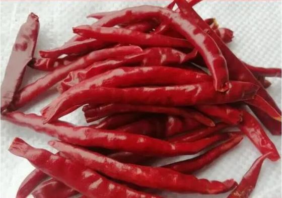 Chaotian trocknete rote Paprika-ganze rote Paprikas Tianjin Chili Dehydrated