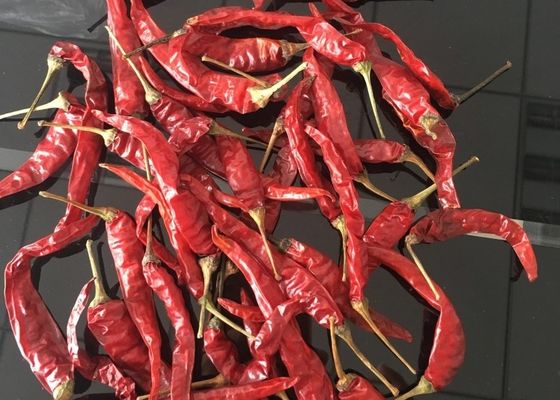 ISO rote Yidu Chili Tianying Jinta Chili American rote Paprika-neue Ernte FDA-HACCP REIN