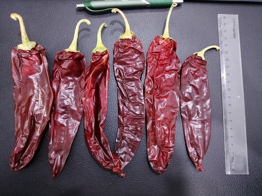 Roter Jinta Chilli Pfeffer Fruchtig Rauch Aroma 8%-12% Feuchtigkeit 10-15cm