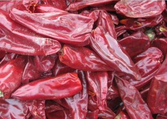 8000 Paprikas SHU Natural Yidu Chili Red-Pfeffer Beijinghong Jinta