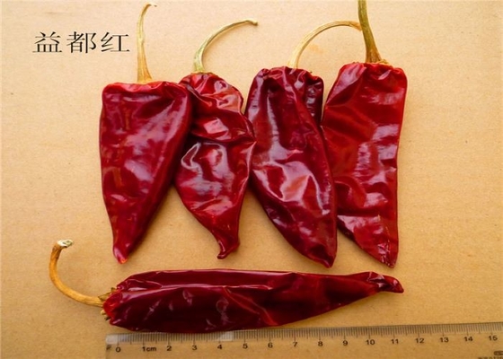 Organische Feuchtigkeit cm 12% Yidu-Paprika-roter Pfeffer Beijinghong Jinta Paprika-10