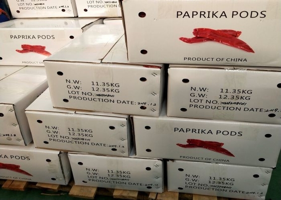 Organische Paprikas Yidu Chili Red Pepper Beijinghong Jinta REINE BRC ZERTIFIKATE FDAs HACCP