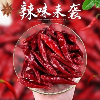 Tianjin Tien Tsin Dried Red Chilli pfeffert für das Kochen des Bestandteiles