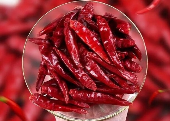 Tianjin Tien Tsin Dried Red Chilli pfeffert für das Kochen des Bestandteiles