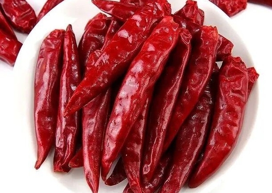 Vakuumsatz Chinese-Tianjins Tien Tsin Chile Peppers In 5lb