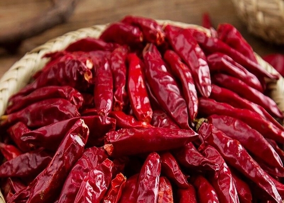5lb. Massen-Küche-Kochen Tien Tsin Chile Peppers Fors Chinse