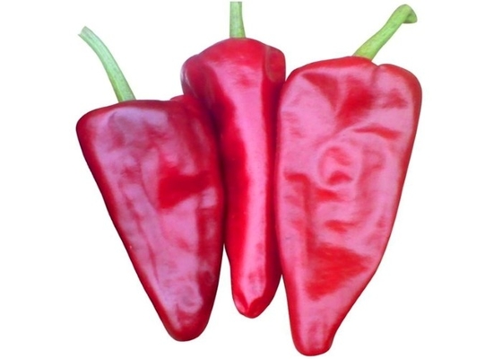 Kulinarisches mit Yidu-Chili Red Pepper Crushed Powder 8-15 cm/ohne Stamm