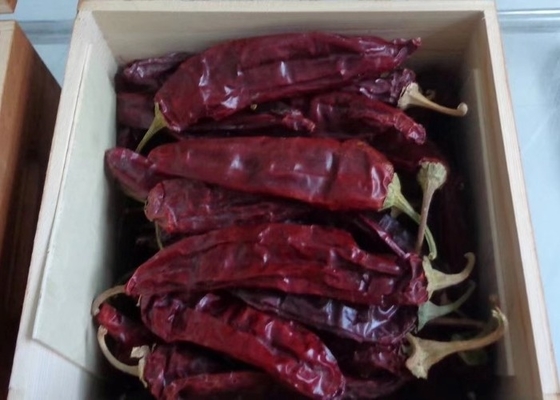 Rote Jinta Chilli 0,3% Max. Unreinheit Starker scharfer Geschmack Verpackung 25 kg