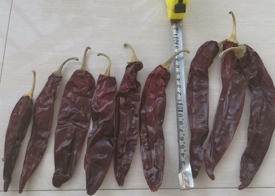 Neue Ernte 220 ASTA Paprika Sweet Red Pepper Pungent Guajillo Chili Peppers 12-18 cm