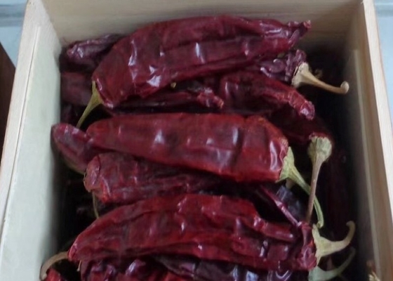 Neue Ernte 220 ASTA Paprika Sweet Red Pepper Pungent Guajillo Chili Peppers 12-18 cm