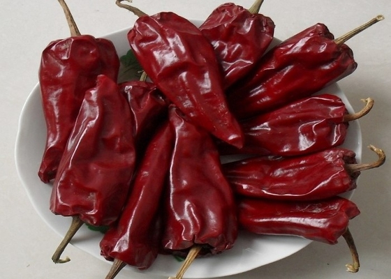 HACCP 200 g Yidu Chili Zutaten 7 - 15 cm Scharfer Chilischma