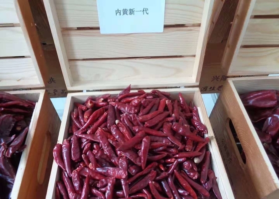 Stemless Chinese Chaotian Szechuan trocknete rote Paprika-Pfeffer hohes SHU