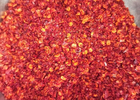Sonnengetrockneter zerquetschter Paprika pfeffert heiße Paprika-Flocken ölte roten entkeimten PIZA u. Komichi