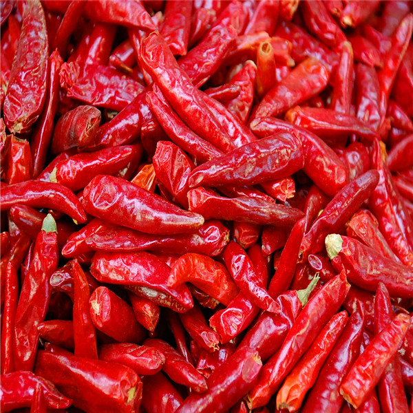 Ganze getrocknete rote Paprika mit Stammlosen Zutaten geben Ihrem Essen etwas Gewürz