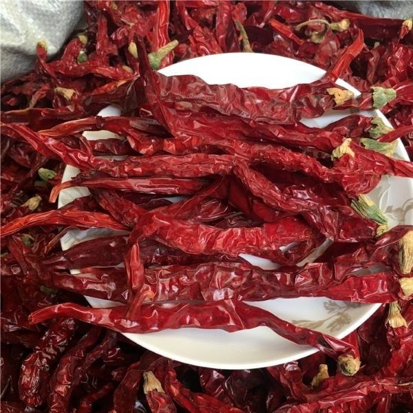 Stammlose oder Stammgeschnittene getrocknete rote Chilischilli 99% Reinheit mit starkem scharfen Geschmack