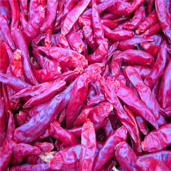 4-7cm Cayenne-Trocknete rote Chilli-Pfeffer Lagerbedingungen Kühl und trocken