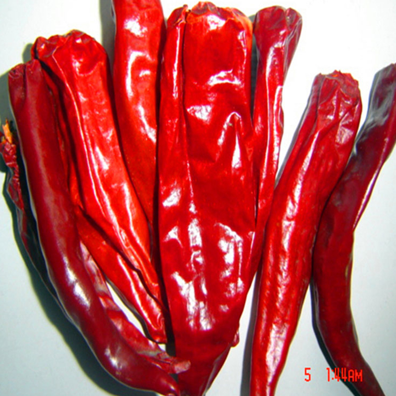 Hot Pot / Sichuan-Küche Muss-Trocknete rote Chilischillen mit starkem scharfen Geschmack