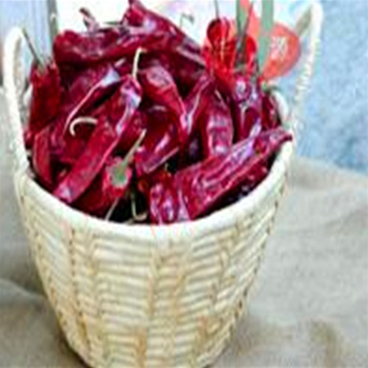 Herkunft Würzige Geschmack Chinesische getrocknete Chili-Pfeffer KEINE Allergeninformationen 14 Cm