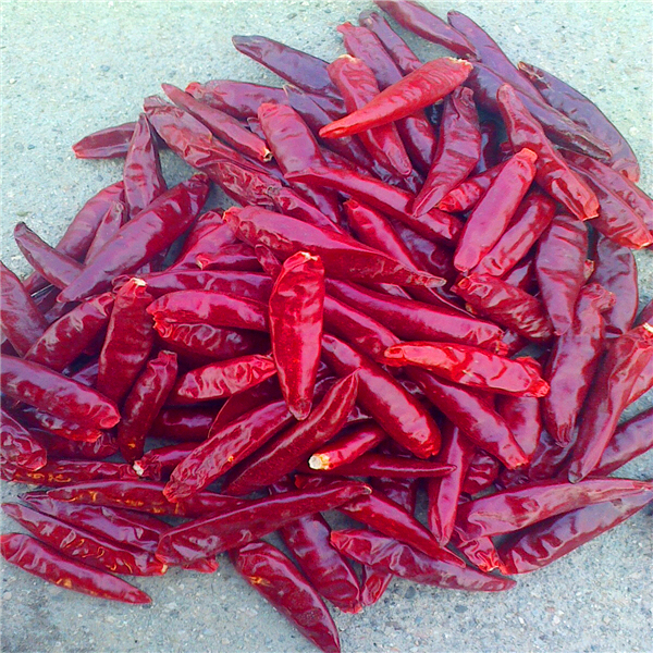 HACCP Chinesische getrocknete Chili-Pfeffer Nährwert-Fakten reich an Vitamin C Länge 4-14 Cm