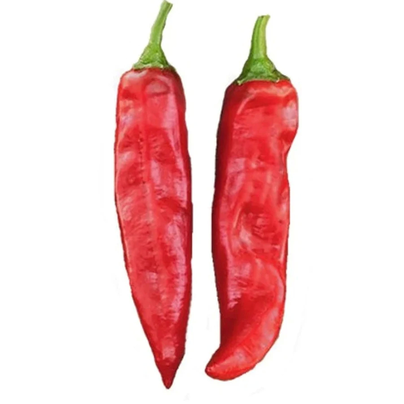 Fein gemahlen Spicy Chilli Pulver Vitamin C Natürliche rote Farbe